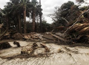 Driftwood Beach storm damage