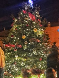 Fortville Christmas Tree Lit
